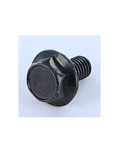 1 x Metalen schroeven zeskantkop TH M6X12...