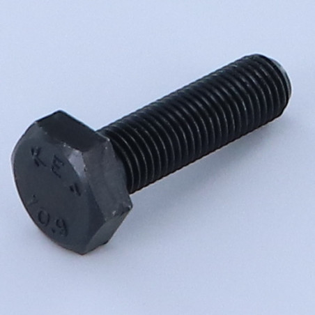 1 x Metalen schroeven zeskantkop TH M16X50 klasse 10.9 volledige draad steek in orde steek van 150 Ruw staal