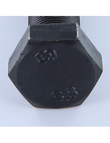 1 x Metalen schroeven zeskantkop TH M20X70...
