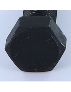 Metalen schroeven zeskantkop TH M16X55 klasse 10.9...