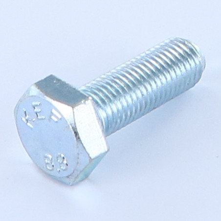 1 x Metalen schroeven zeskantkop TH M10X50 volledige draad Klasse 8.8 steek in orde steek van 125 Wit verzinkt staal