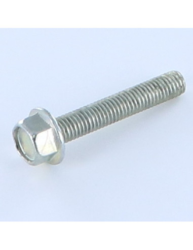 1 x Metalen schroeven zeskantkop TH M5X30 Wit...