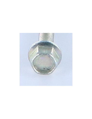 1 x Metalen schroeven zeskantkop TH M5X30 Wit...