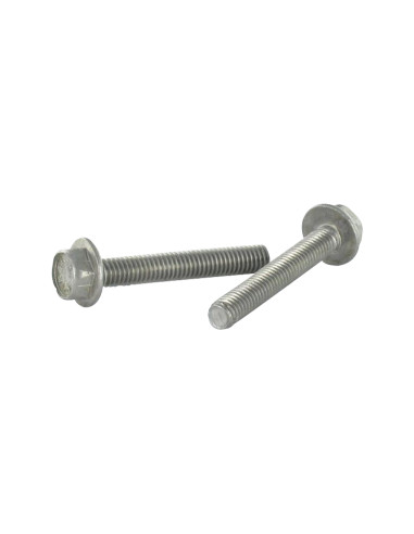 1 x Metalen schroeven zeskantkop TH gladde...