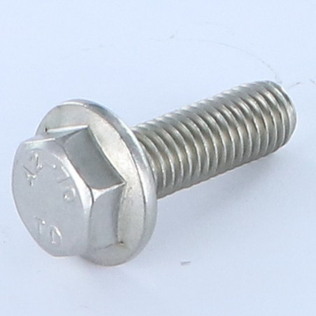 1 x Metalen schroeven zeskantkop TH gladde flens M10X20 RVS A2