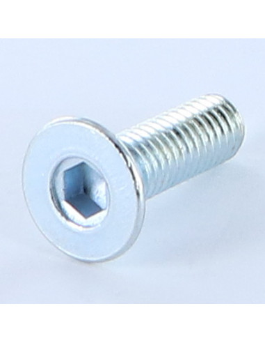 1 x Metalen schroeven FHC verzonken kop met...