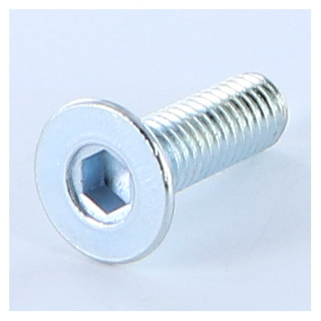 1 x Metalen schroeven FHC verzonken kop met zeskant print M6X20 sleutel van 4 Wit verzinkt staal