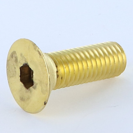1 x Metalen schroeven Messing sleutel van 6 FHC verzonken kop met zeskant print M10X30