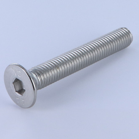 1 x Metalen schroeven FHC verzonken kop met zeskant print sleutel van 6 M10X70 volledige draad A4 RVS