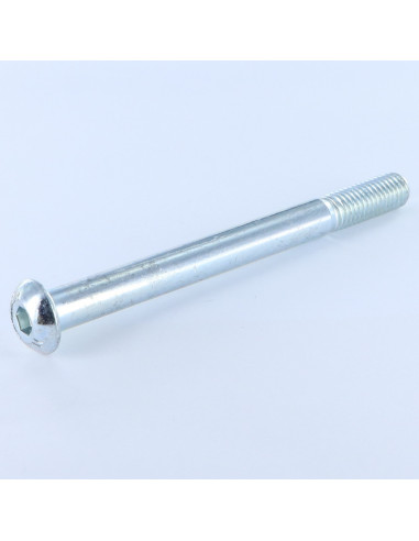 1 x Metalen schroeven Zeshoekig hol M10X110...