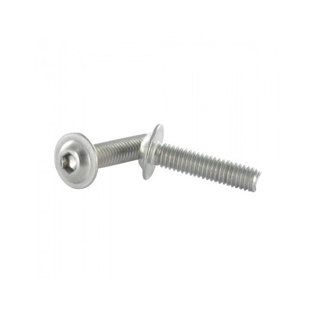1 x Metalen schroeven Zeshoekig hol kraagflens M6X50 sleutel van 4 A4 RVS