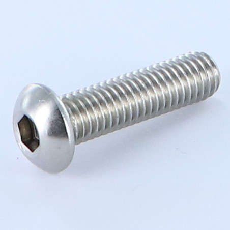 1 x Metalen schroeven Zeshoekig hol M6X25 volledige draad sleutel van 4 A4 RVS