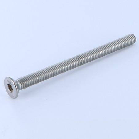 1 x Metalen schroeven FHC verzonken kop met zeskant print sleutel van 4 M6X100 volledige draad A4 RVS