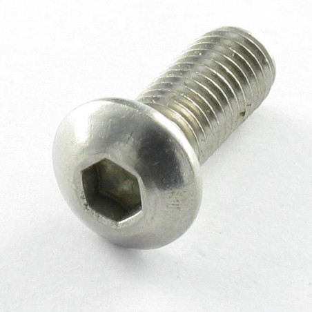 1 x Metalen schroeven Zeshoekig hol M12X40 volledige draad klasse 10.9 sleutel van 8 Wit verzinkt staal