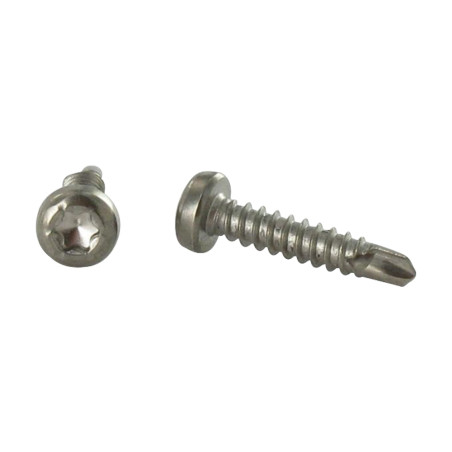 1 x Zelfborende schroef cilindrische kop TORX T15 3.9X19 A4 RVS