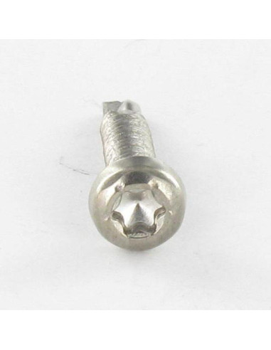 1 x Zelfborende schroef cilindrische kop TORX...
