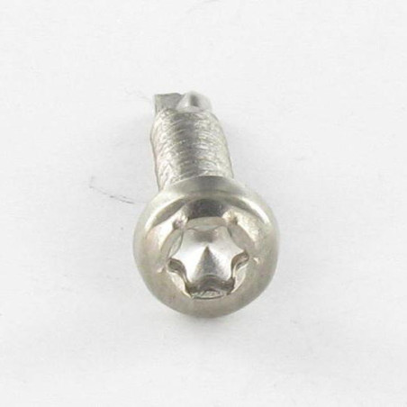 1 x Zelfborende schroef cilindrische kop TORX T15 3.9X19 A4 RVS