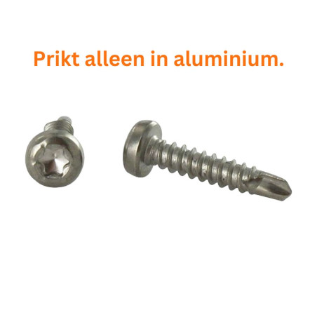 1 x Zelfborende schroef cilindrische kop TORX T15 3.9X19 A4 RVS