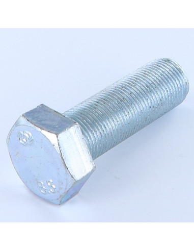 1 x Metalen schroeven zeskantkop TH M16X60...
