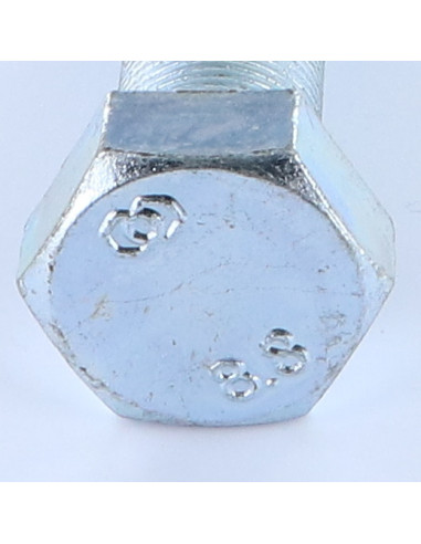 1 x Metalen schroeven zeskantkop TH M16X60...