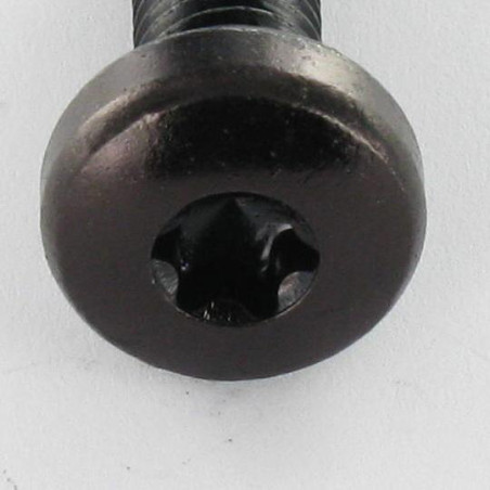 1 x Metalen schroeven bolvormige kopschroef M4X6 TORX T20 Zwart gegalvaniseerd staal