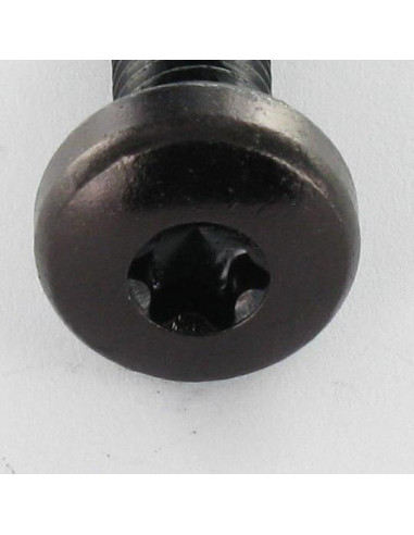1 x Metalen schroeven bolvormige kopschroef...