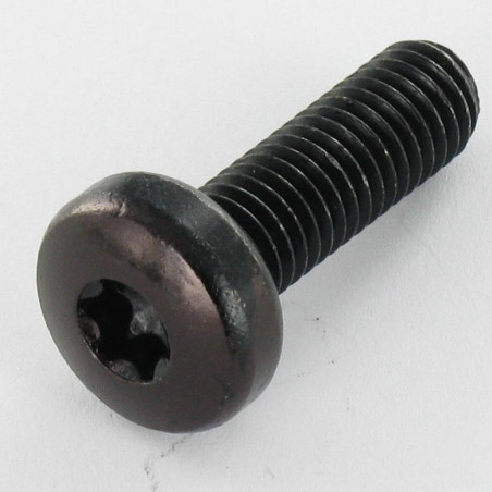 1 x Metalen schroeven bolvormige kopschroef TORX T30 M6X10 Zwart gegalvaniseerd staal