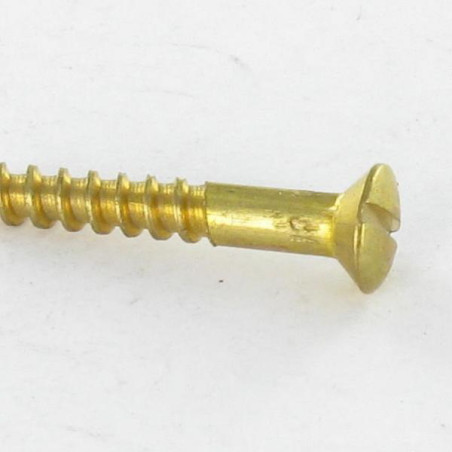 1 x Houtschroeven Messing gefreesde bolkop split 2X20 microschroeven