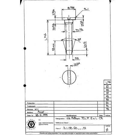 1 x Metalen schroeven Brede bol cilinderkop split M6X48 kartel Ruw staal