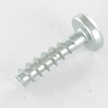 1 x Agglo houtschroeven ronde kop TORX T20 4X20 zonder punt Wit verzinkt staal