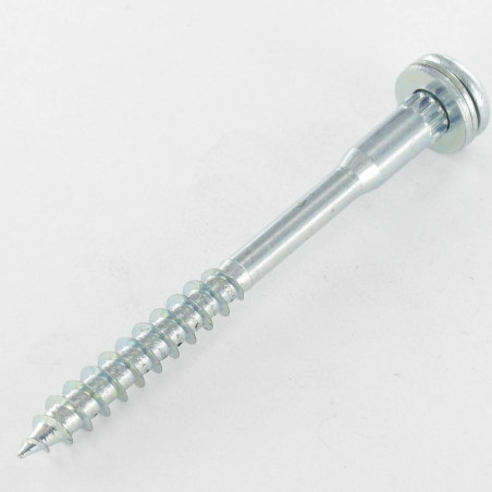 1 x Agglo houtschroeven Bolkop breed rond 7X85 bedraad op 40 TORX T40 vastzittend Wit verzinkt staal 96 uren zoutnevel