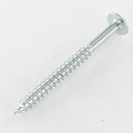 1 x Agglo houtschroeven Bolkop breed rond 6X80 bedraad op 50 TORX T30 Wit verzinkt staal 200 uren zoutnevel zonder rode