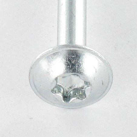 1 x Agglo houtschroeven Bolkop breed rond 6X90 bedraad op 50 TORX T30 Wit verzinkt staal 200 uren zoutnevel zonder rode