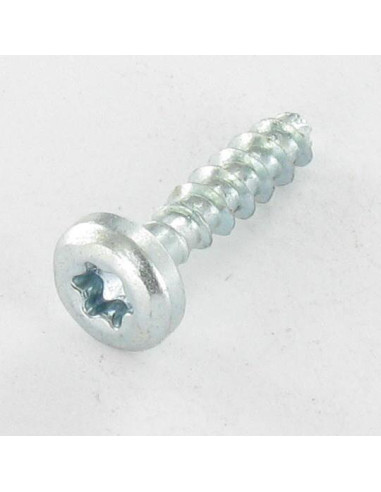 1 x Agglo houtschroeven ronde kop TORX T20 4X16...
