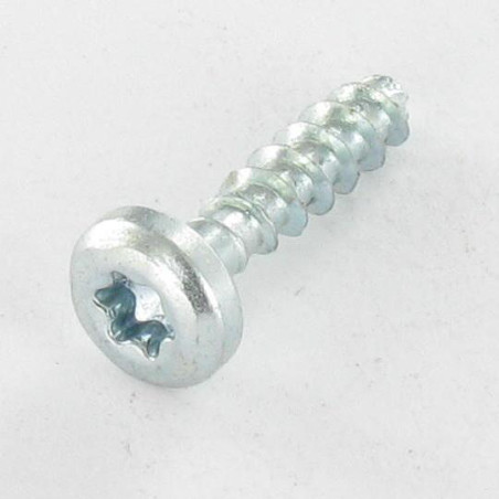 1 x Agglo houtschroeven ronde kop TORX T20 4X16 zonder punt Wit verzinkt staal
