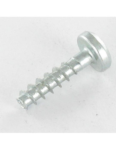 1 x Agglo houtschroeven ronde kop TORX T20 4X16...