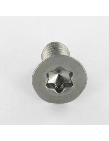 1 x Metalen schroeven gefreesde kop TORX T30...