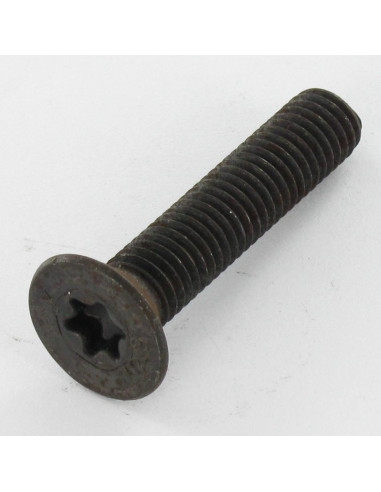 1 x Metalen schroeven gefreesde kop TORX T30...