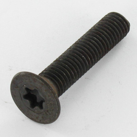 1 x Metalen schroeven gefreesde kop TORX T30 M6X35 klasse 10.9 Ruw staal