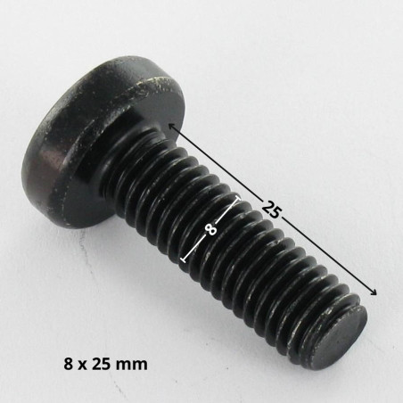 1 x Metalen schroeven bolvormige kopschroef TORX T40 M8X25 Zwart gegalvaniseerd staal