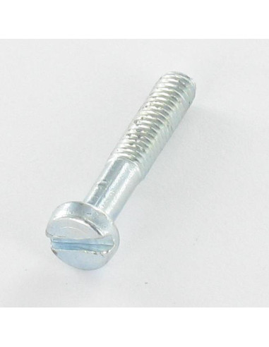 1 x Metalen schroeven cilindrische kop split...