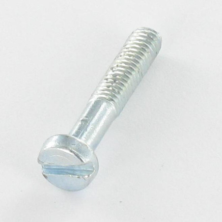 1 x Metalen schroeven cilindrische kop split M4X22 bedraad op 14 Wit verzinkt staal