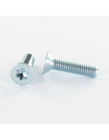 1 x Metalen schroeven gefreesde kop TORX T30...