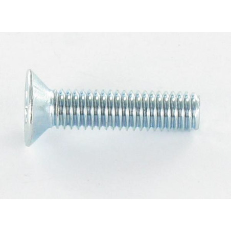 1 x Metalen schroeven gefreesde kop TORX T30 M6X25 Wit verzinkt staal