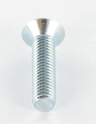 1 x Metalen schroeven gefreesde kop TORX T30...