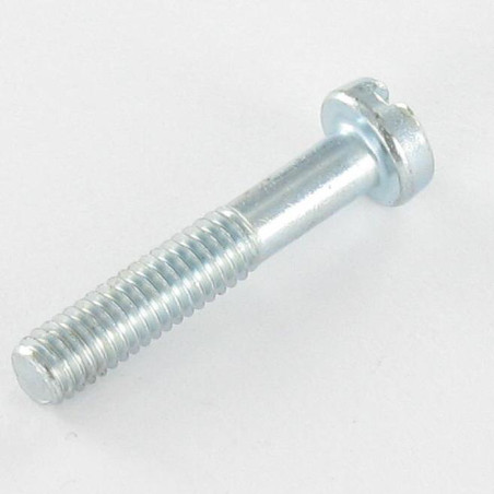1 x Metalen schroeven cilindrische kop split M4X27 bedraad op 14 Wit verzinkt staal