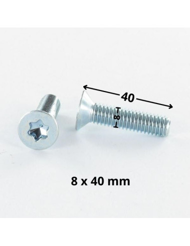 1 x Metalen schroeven gefreesde kop TORX T40...