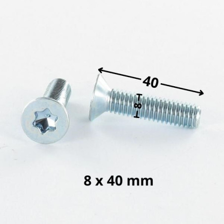 1 x Metalen schroeven gefreesde kop TORX T40 M8X40 klasse 10.9 Wit verzinkt staal