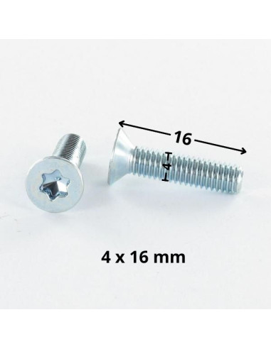 1 x Metalen schroeven gefreesde kop TORX T20...