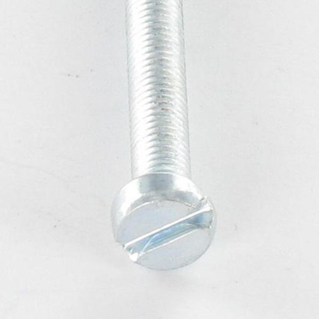 1 x Metalen schroeven cilindrische kop split M4X5 Wit verzinkt staal
